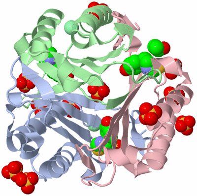 Image Asym./Biol. Unit