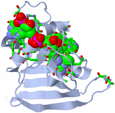 Image Biol. Unit 1 - sites