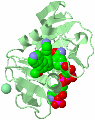 Image Biological Unit 2