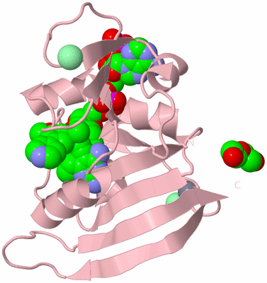 Image Biological Unit 3