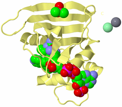 Image Biological Unit 4