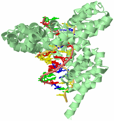 Image Biological Unit 1