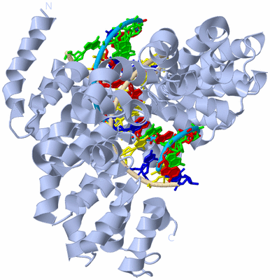 Image Biological Unit 2