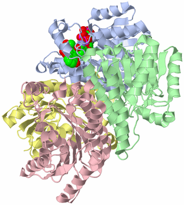 Image Asym./Biol. Unit