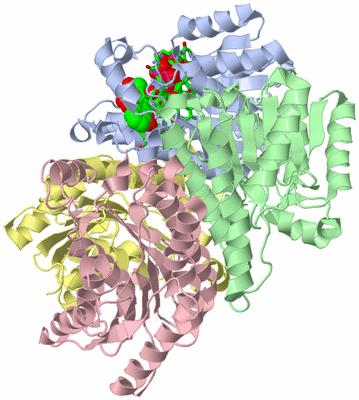 Image Asym./Biol. Unit - sites