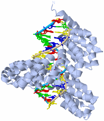 Image Biological Unit 1