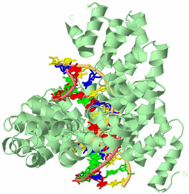 Image Biological Unit 2