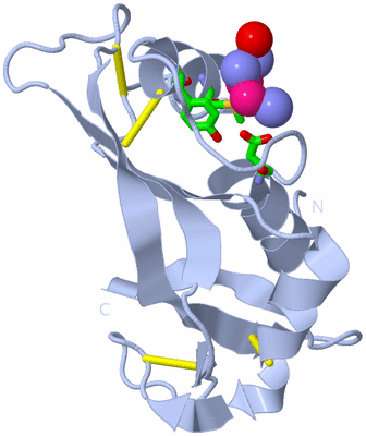 Image Biol. Unit 1 - sites