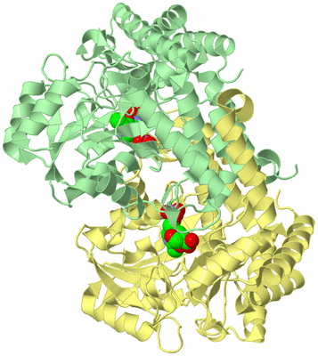 Image Biological Unit 2