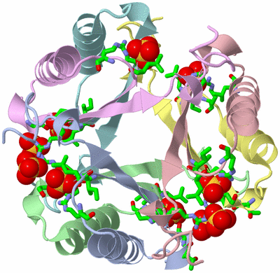 Image Biol. Unit 1 - sites