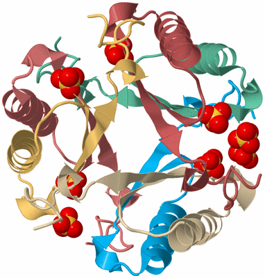 Image Biological Unit 2