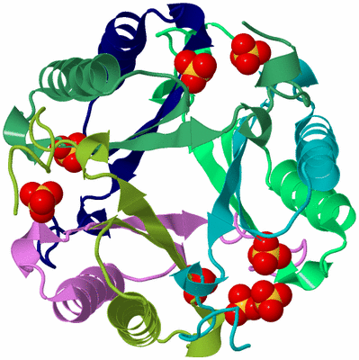 Image Biological Unit 3