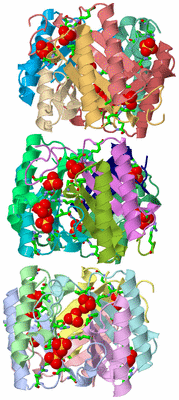 Image Asym. Unit - sites