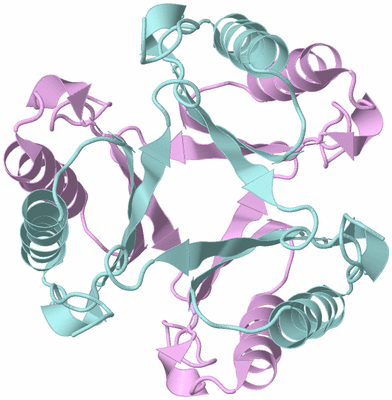 Image Biological Unit 3