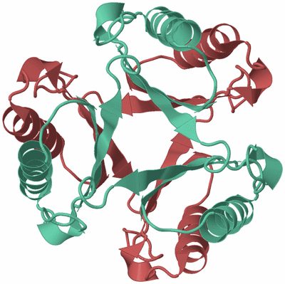 Image Biological Unit 6