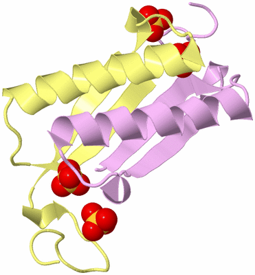 Image Biological Unit 3