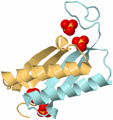 Image Biological Unit 4