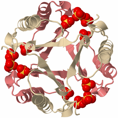 Image Biological Unit 5