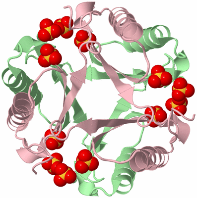 Image Biological Unit 6