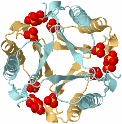 Image Biological Unit 7