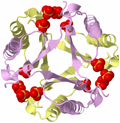 Image Biological Unit 8