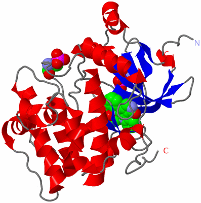 Image Asym./Biol. Unit