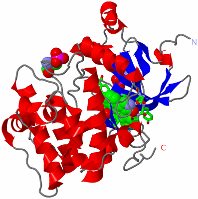 Image Asym./Biol. Unit - sites