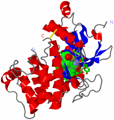 Image Asym./Biol. Unit - sites