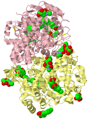 Image Biological Unit 2