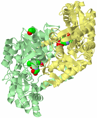 Image Biological Unit 2