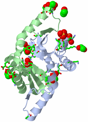 Image Asym./Biol. Unit - sites