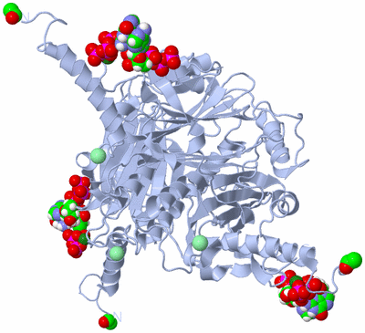 Image Biological Unit 1