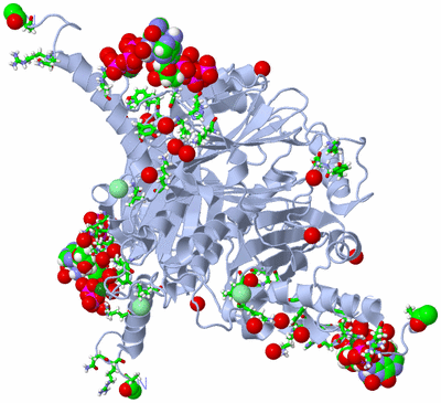 Image Biol. Unit 1 - sites