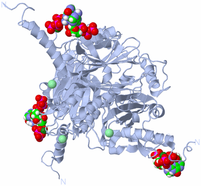 Image Biological Unit 1