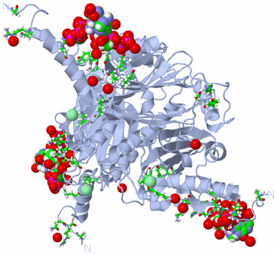 Image Biol. Unit 1 - sites