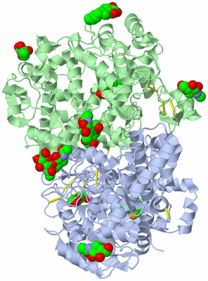 Image Asym./Biol. Unit