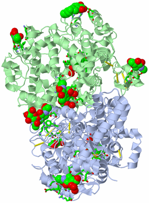 Image Asym./Biol. Unit - sites