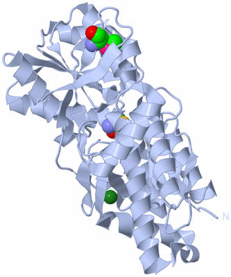 Image Biological Unit 1