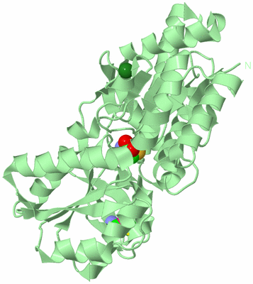 Image Biological Unit 2