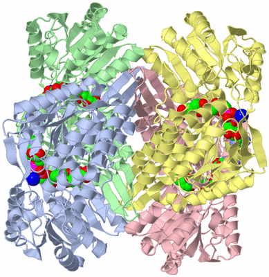 Image Asym./Biol. Unit