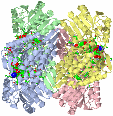 Image Asym./Biol. Unit - sites