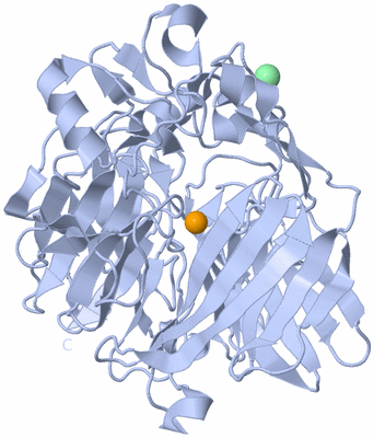 Image Biological Unit 1