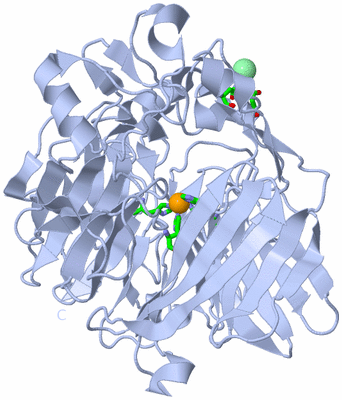 Image Biol. Unit 1 - sites