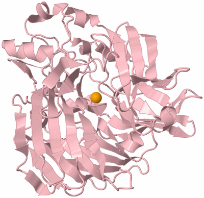 Image Biological Unit 3