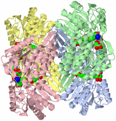 Image Asym./Biol. Unit