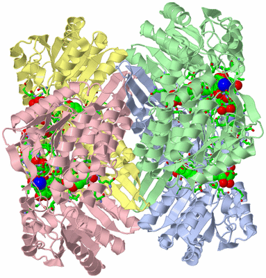 Image Asym./Biol. Unit - sites