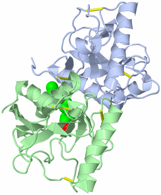 Image Biological Unit 1