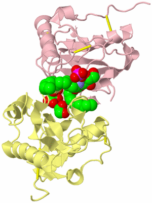 Image Biological Unit 2