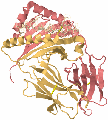 Image Biological Unit 3