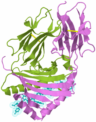 Image Biological Unit 5